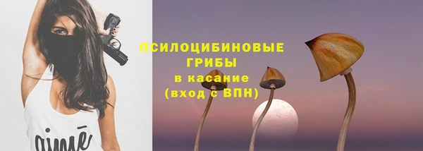 таблы Алзамай